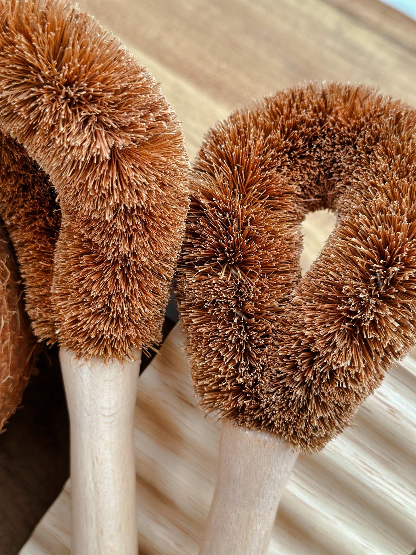 Coconut Fibre Pot Brush - BHM Home