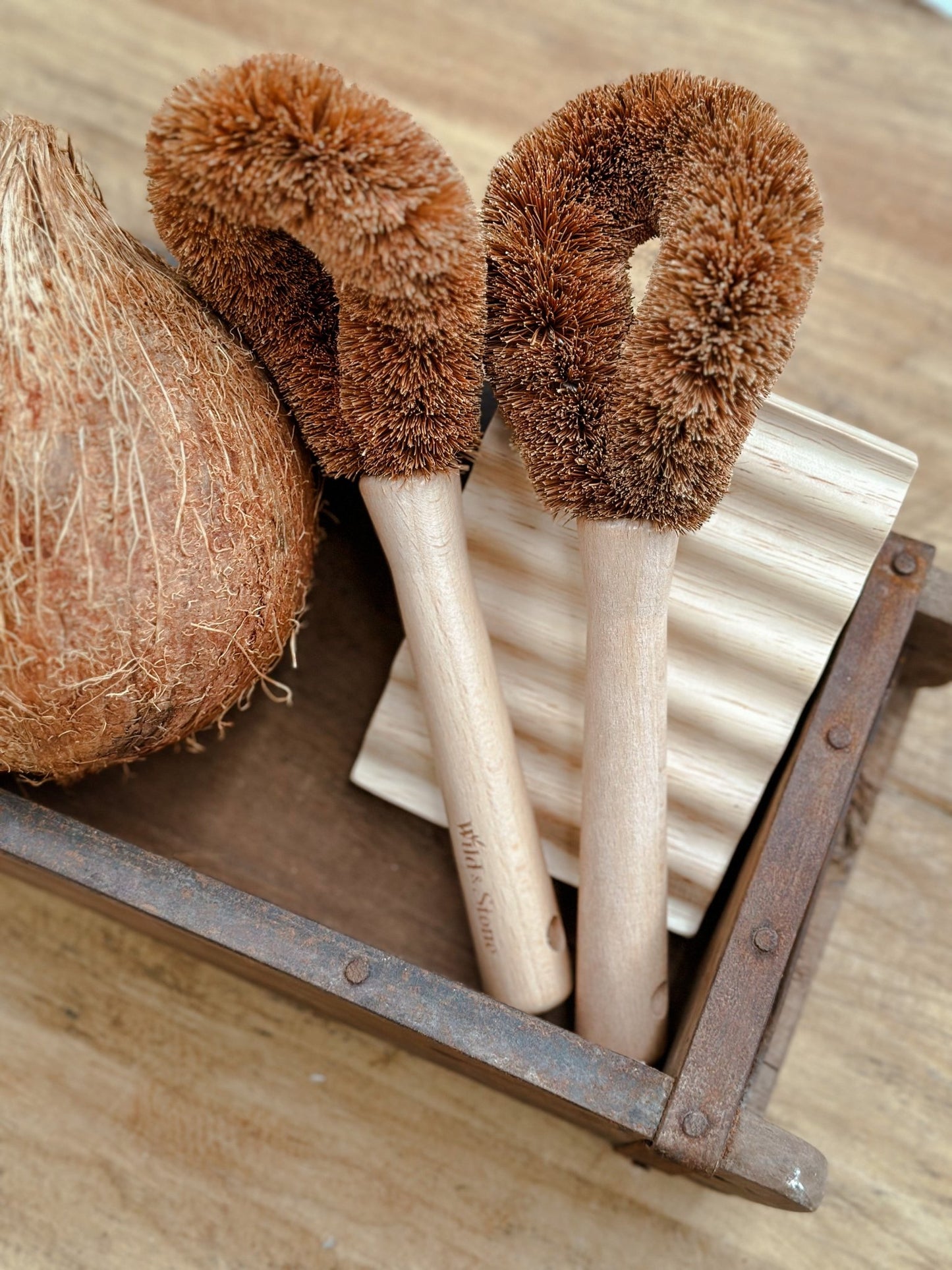 Coconut Fibre Pot Brush - BHM Home